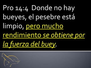 Pro 14:4 Donde no hay
bueyes, el pesebre está
limpio, pero mucho
rendimiento se obtiene por
la fuerza del buey.
 