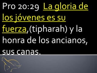 Pro 20:29 La gloria de
los jóvenes es su
fuerza,(tipharah) y la
honra de los ancianos,
sus canas.
 