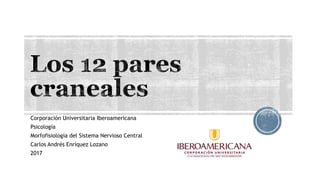 Corporación Universitaria Iberoamericana
Psicología
Morfofisiología del Sistema Nervioso Central
Carlos Andrés Enríquez Lozano
2017
 