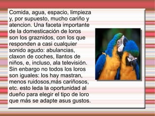 Comida, agua, espacio, limpieza
y, por supuesto, mucho cariño y
atencion. Una faceta importante
de la domesticación de loros
son los graznidos, con los que
responden a casi cualquier
sonido agudo: abulancias,
claxon de coches, llantos de
niños, e, incluso, ala televisión.
Sin enbargo no todos los loros
son iguales: los hay mastran,
menos ruidosos,más cariñosos,
etc. esto leda la oportunidad al
dueño para elegir el tipo de loro
que más se adapte asus gustos.
 