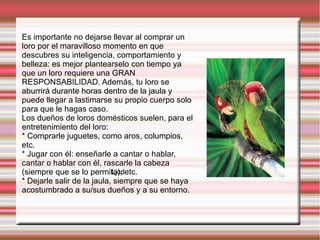 Ljcd
Es importante no dejarse llevar al comprar un
loro por el maravilloso momento en que
descubres su inteligencia, comportamiento y
belleza: es mejor plantearselo con tiempo ya
que un loro requiere una GRAN
RESPONSABILIDAD. Además, tu loro se
aburrirá durante horas dentro de la jaula y
puede llegar a lastimarse su propio cuerpo solo
para que le hagas caso.
Los dueños de loros domésticos suelen, para el
entretenimiento del loro:
* Comprarle juguetes, como aros, columpios,
etc.
* Jugar con él: enseñarle a cantar o hablar,
cantar o hablar con él, rascarle la cabeza
(siempre que se lo permita), etc.
* Dejarle salir de la jaula, siempre que se haya
acostumbrado a su/sus dueños y a su entorno.
 