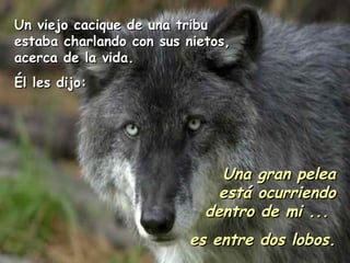 Un viejo cacique de una tribu estaba charlando con sus nietos, acerca de la vida. É l les dijo: Una gran pelea está ocurriendo dentro de mi ... es entre dos lobos.