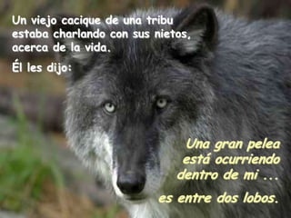 Un viejo cacique de una tribu
estaba charlando con sus nietos,
acerca de la vida.
Él les dijo:
Una gran pelea
está ocurriendo
dentro de mi ...
es entre dos lobos.