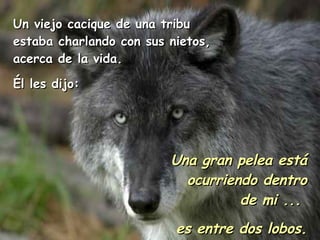 Un viejo cacique de una tribu estaba charlando con sus nietos, acerca de la vida. É l les dijo: Una gran pelea está ocurriendo dentro de mi ... es entre dos lobos.