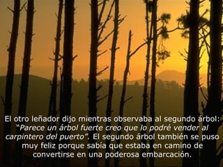 El otro leñador dijo mientras observaba al segundo árbol:
    “Parece un árbol fuerte creo que lo podré vender al
carpintero del puerto”. El segundo árbol también se puso
     muy feliz porque sabía que estaba en camino de
         convertirse en una poderosa embarcación.
 