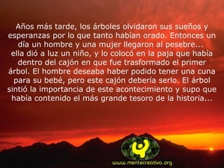 Años más tarde, los árboles olvidaron sus sueños y
esperanzas por lo que tanto habían orado. Entonces un
día un hombre y una mujer llegaron al pesebre...
ella dió a luz un niño, y lo colocó en la paja que había
dentro del cajón en que fue trasformado el primer
árbol. El hombre deseaba haber podido tener una cuna
para su bebé, pero este cajón debería serlo. El árbol
sintió la importancia de este acontecimiento y supo que
había contenido el más grande tesoro de la historia...
 