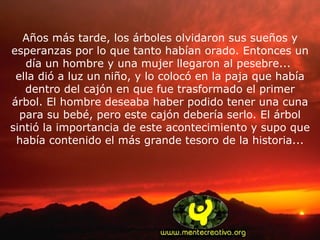 Años más tarde, los árboles olvidaron sus sueños y esperanzas por lo que tanto habían orado. Entonces un día un hombre y una mujer llegaron al pesebre...  ella dió a luz un niño, y lo colocó en la paja que había dentro del cajón en que fue trasformado el primer árbol. El hombre deseaba haber podido tener una cuna para su bebé, pero este cajón debería serlo. El árbol sintió la importancia de este acontecimiento y supo que había contenido el más grande tesoro de la historia... 