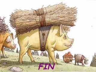 FIN 