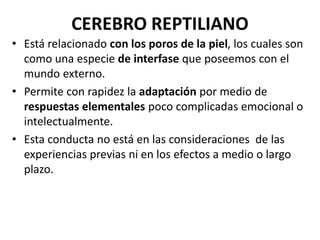 CEREBRO REPTILIANO
• Está relacionado con los poros de la piel, los cuales son
como una especie de interfase que poseemos con el
mundo externo.
• Permite con rapidez la adaptación por medio de
respuestas elementales poco complicadas emocional o
intelectualmente.
• Esta conducta no está en las consideraciones de las
experiencias previas ni en los efectos a medio o largo
plazo.
 