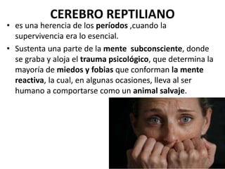 CEREBRO REPTILIANO
• es una herencia de los períodos ,cuando la
supervivencia era lo esencial.
• Sustenta una parte de la mente subconsciente, donde
se graba y aloja el trauma psicológico, que determina la
mayoría de miedos y fobias que conforman la mente
reactiva, la cual, en algunas ocasiones, lleva al ser
humano a comportarse como un animal salvaje.
 