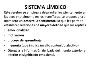 SISTEMA LÍMBICO
Este cerebro se empieza a desarrollar incipientemente en
las aves y totalmente en los mamíferos. Le proporciona al
mamífero un desarrollo sentimental lo que les permite
establecer relaciones de mayor fidelidad que los reptiles.
• emocionalidad
• motivación
• proceso de aprendizaje
• memoria (que implica un alto contenido afectivo)
• Otorga a la información derivada del mundo exterior e
interior el significado emocional.
 
