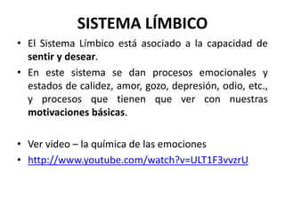 SISTEMA LÍMBICO
• El Sistema Límbico está asociado a la capacidad de
sentir y desear.
• En este sistema se dan procesos emocionales y
estados de calidez, amor, gozo, depresión, odio, etc.,
y procesos que tienen que ver con nuestras
motivaciones básicas.
• Ver video – la química de las emociones
• http://www.youtube.com/watch?v=ULT1F3vvzrU
 