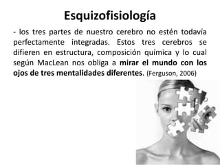 Esquizofisiología
- los tres partes de nuestro cerebro no estén todavía
perfectamente integradas. Estos tres cerebros se
difieren en estructura, composición química y lo cual
según MacLean nos obliga a mirar el mundo con los
ojos de tres mentalidades diferentes. (Ferguson, 2006)
 