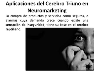 Aplicaciones del Cerebro Triuno en
Neuromarketing
La compra de productos y servicios como seguros, o
alarmas cuya demanda crece cuando existe una
sensación de inseguridad, tiene su base en el cerebro
reptiliano.
 