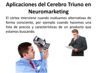 Aplicaciones del Cerebro Triuno en
Neuromarketing
El córtex interviene cuando evaluamos alternativas de
forma consciente, por ejemplo cuando hacemos una
lista de precios y características de un producto que
estamos buscando.
 