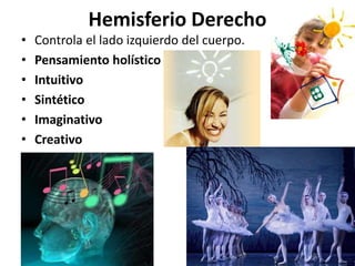 Hemisferio Derecho
• Controla el lado izquierdo del cuerpo.
• Pensamiento holístico
• Intuitivo
• Sintético
• Imaginativo
• Creativo
 