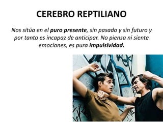 CEREBRO REPTILIANO
Nos sitúa en el puro presente, sin pasado y sin futuro y
por tanto es incapaz de anticipar. No piensa ni siente
emociones, es pura impulsividad.
 