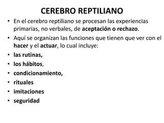 CEREBRO REPTILIANO
• En el cerebro reptiliano se procesan las experiencias
primarias, no verbales, de aceptación o rechazo.
• Aquí se organizan las funciones que tienen que ver con el
hacer y el actuar, lo cual incluye:
• las rutinas,
• los hábitos,
• condicionamiento,
• rituales
• imitaciones
• seguridad
 