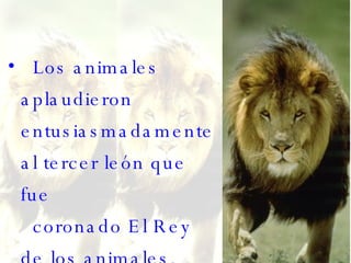 Los animales aplaudieron entusiasmadamente al tercer león que fue   coronado El Rey de los animales.  