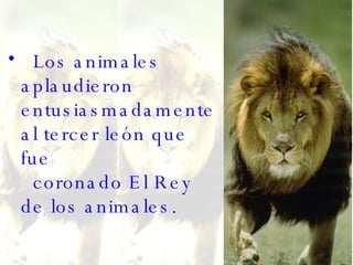 Los animales aplaudieron entusiasmadamente al tercer león que fue   coronado El Rey de los animales.  