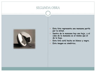 SEGUNDA OBRA
 Esta foto representa una manzana partía
por la mitad.
 Dentro de la manzana hay una hoja, y el
cabo de la manzana es el mismo que el
de la hoja.
 Esta foto está hecha en blanco y negro.
 Esta imagen es simétrica.
 