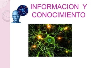 INFORMACION Y
CONOCIMIENTO

 