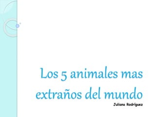 Los 5 animales mas 
extraños del mundo 
Juliana Rodríguez 
 