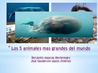*Los 5 animales mas grandes del mundo
Benjamín esparza Montenegro
José Gaudencio López Jiménez
 