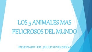 LOS 5 ANIMALES MAS
PELIGROSOS DEL MUNDO
PRESENTADO POR : JAIDER STIVEN SIERRA
 