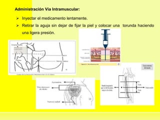 Administración Vía Intramuscular:
 Inyectar el medicamento lentamente.
 Retirar la aguja sin dejar de fijar la piel y colocar una torunda haciendo
una ligera presión.
 