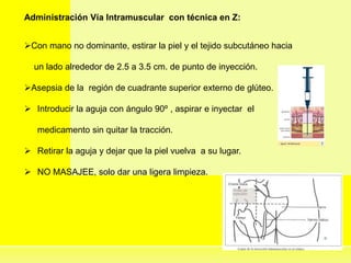 Administración Vía Intramuscular con técnica en Z:
Con mano no dominante, estirar la piel y el tejido subcutáneo hacia
un lado alrededor de 2.5 a 3.5 cm. de punto de inyección.
Asepsia de la región de cuadrante superior externo de glúteo.
 Introducir la aguja con ángulo 90º , aspirar e inyectar el
medicamento sin quitar la tracción.
 Retirar la aguja y dejar que la piel vuelva a su lugar.
 NO MASAJEE, solo dar una ligera limpieza.
 