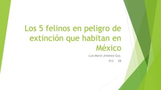 Los 5 felinos en peligro de
extinción que habitan en
México
Luis Mario Jiménez Gzz.
#13 2B
 