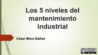 Los 5 niveles del
mantenimiento
industrial
César Mora Ibáñez
 