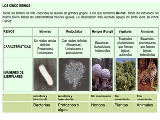 autrotofa y heterotrofa Autotrofa y heterotrofas Sin movimiento Sin movimiento Con movimiento Bacterias Protozoos y algas Hongos Plantas Animales  