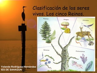 Clasificación de los seres vivos. Los cinco Reinos. Yolanda Rodríguez Hernández IES DE SAHAGUN  