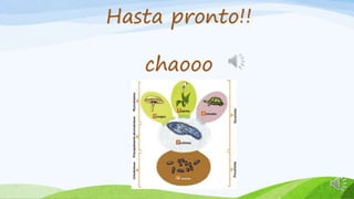 LOS 5 REINOS DE LA NATURALEZA | PPTX
