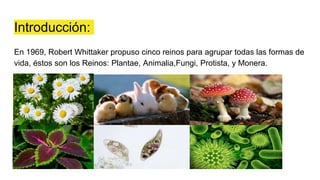 Introducción:
En 1969, Robert Whittaker propuso cinco reinos para agrupar todas las formas de
vida, éstos son los Reinos: Plantae, Animalia,Fungi, Protista, y Monera.
 
