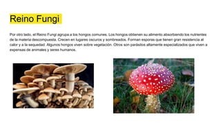 Reino Fungi
Por otro lado, el Reino Fungi agrupa a los hongos comunes. Los hongos obtienen su alimento absorbiendo los nutrientes
de la materia descompuesta. Crecen en lugares oscuros y sombreados. Forman esporas que tienen gran resistencia al
calor y a la sequedad. Algunos hongos viven sobre vegetación. Otros son parásitos altamente especializados que viven a
expensas de animales y seres humanos.
 