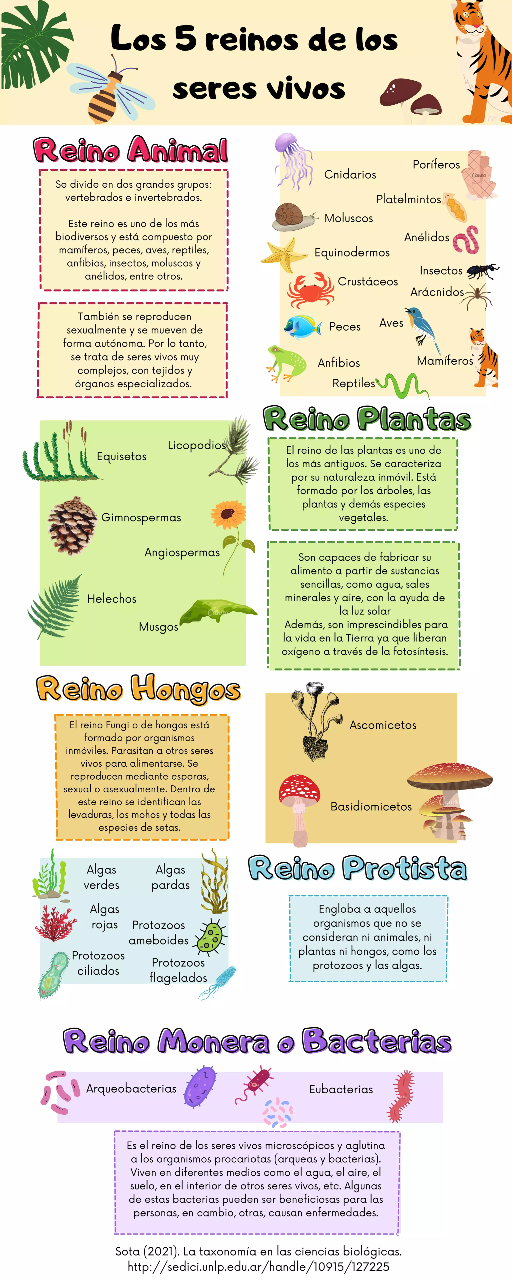 Los 5 reinos de los seres vivos.pdf