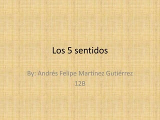 Los 5 sentidos By: Andrés Felipe Martínez Gutiérrez 12B 