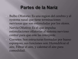 Iris: Es la parte de el color del ojo, también controla el tamaño de la pupila.