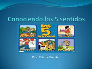 Conociendo los 5 sentidos Prof. Valeria Paulete 