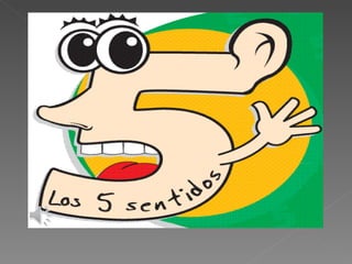 Los 5 sentidos