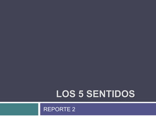 LOS 5 SENTIDOS
REPORTE 2
 