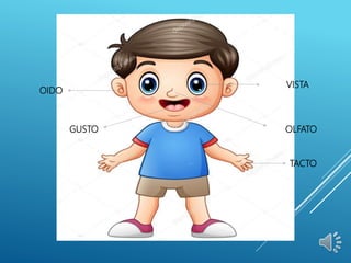 VISTA
OIDO
GUSTO
TACTO
OLFATO
 
