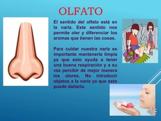 OLFATO
El sentido del olfato está en
la nariz. Este sentido nos
permite oler y diferenciar los
aromas que tienen las cosas.
Para cuidar nuestra nariz es
importante mantenerla limpia
ya que esto ayuda a tener
una buena respiración y a su
vez percibir de mejor manera
los olores. No introducir
objetos a la nariz ya que esto
puede dañarla.
 