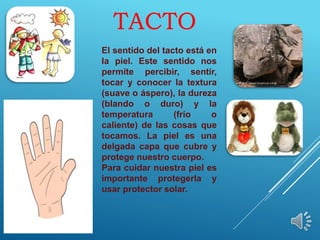 TACTO
El sentido del tacto está en
la piel. Este sentido nos
permite percibir, sentir,
tocar y conocer la textura
(suave o áspero), la dureza
(blando o duro) y la
temperatura (frío o
caliente) de las cosas que
tocamos. La piel es una
delgada capa que cubre y
protege nuestro cuerpo.
Para cuidar nuestra piel es
importante protegerla y
usar protector solar.
 