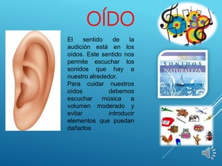OÍDO
El sentido de la
audición está en los
oídos. Este sentido nos
permite escuchar los
sonidos que hay a
nuestro alrededor.
Para cuidar nuestros
oídos debemos
escuchar música a
volumen moderado y
evitar introducir
elementos que puedan
dañarlos
 