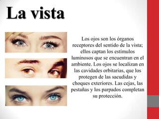 La vista
Los ojos son los órganos
receptores del sentido de la vista;
ellos captan los estímulos
luminosos que se encuentran en el
ambiente. Los ojos se localizan en
las cavidades orbitarias, que los
protegen de las sacudidas y
choques exteriores. Las cejas, las
pestañas y los parpados completan
su protección.
 