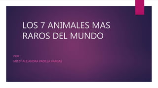 LOS 7 ANIMALES MAS
RAROS DEL MUNDO
POR :
MITZY ALEJANDRA PADILLA VARGAS
 